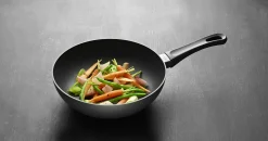 SCANPAN Woks><noscript><img width=
